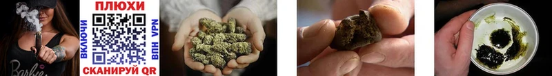 Гашиш Cannabis  наркотики  даркнет официальный сайт  Кузнецк 