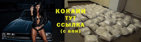 ешки Белокуриха