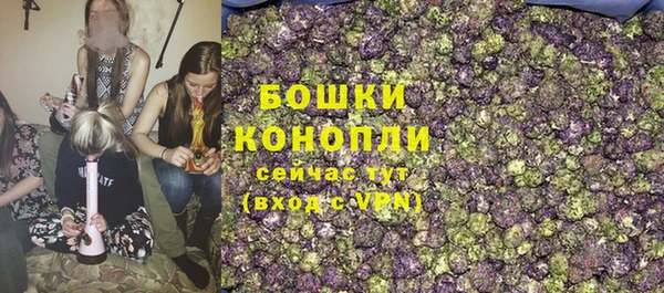 ешки Белокуриха