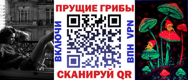 где можно купить наркотик  MEGA зеркало  Галлюциногенные грибы мицелий  Кузнецк 
