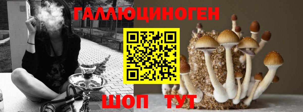 Псилоцибиновые грибы ЛСД  Вход с VPN  Кузнецк  Галлюциногенные грибы MAGIC MUSHROOMS 